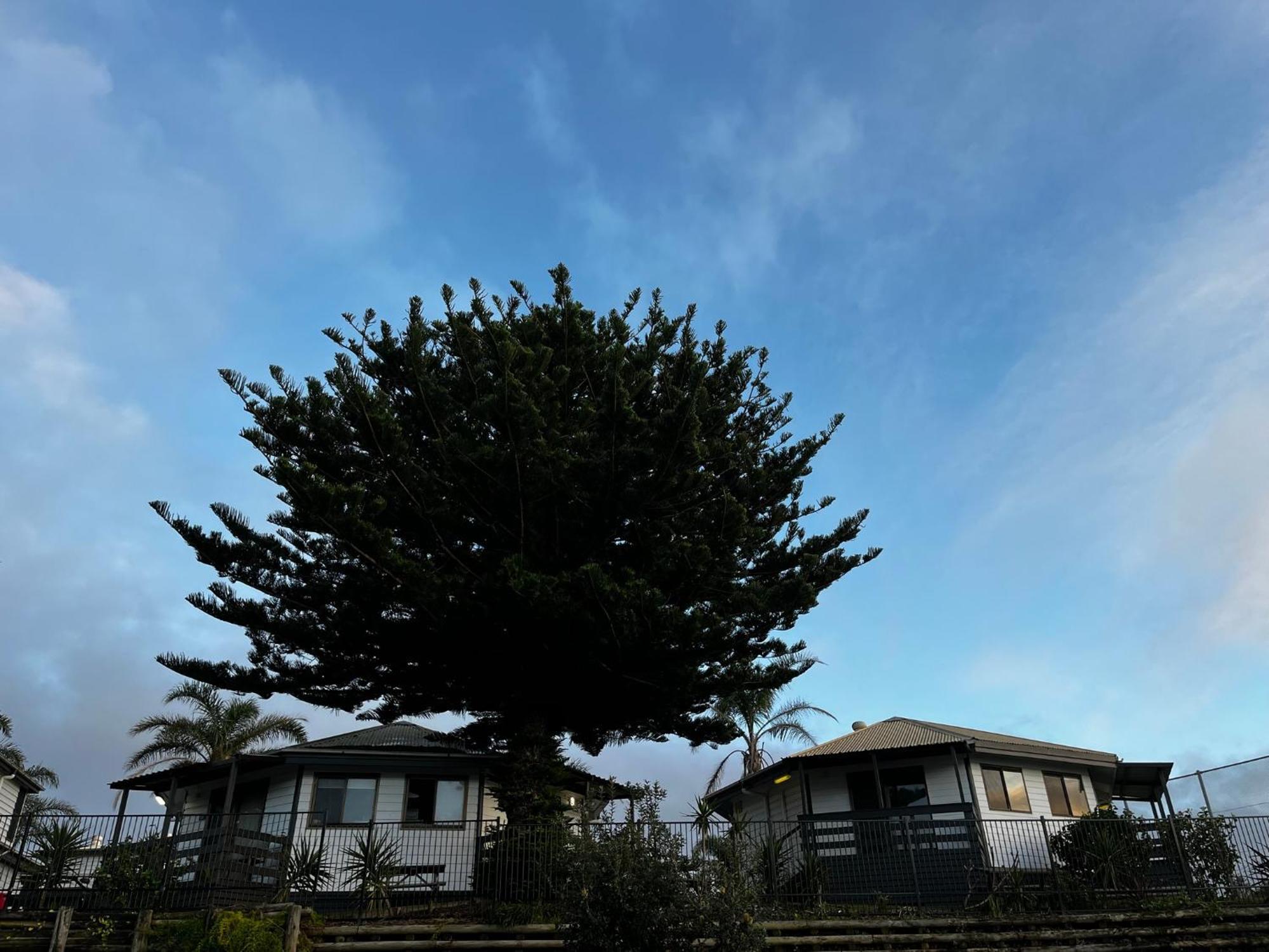Shelly Beach Holiday Park Entrance Exteriör bild